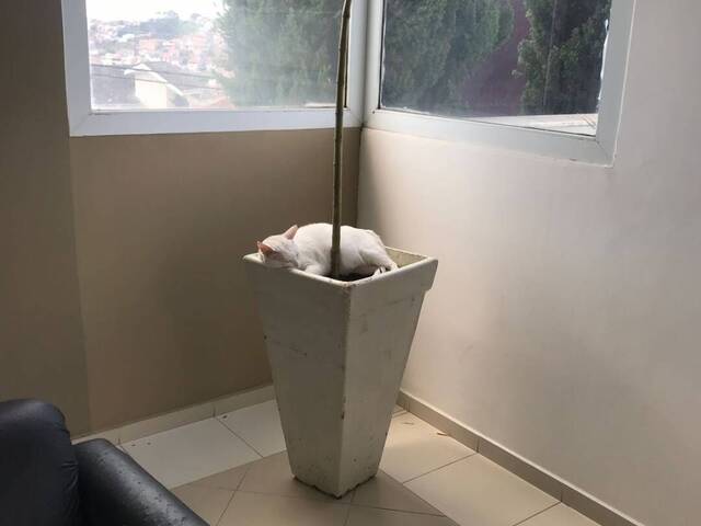 Casa em condomínio para Venda em Jacareí - 5