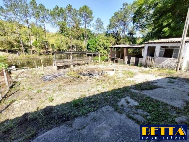 Sítio para Venda em Santa Branca - 5