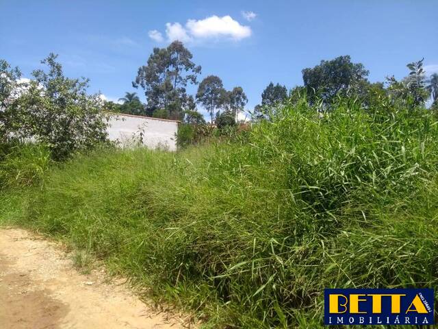 Terreno para Venda em Jacareí - 4