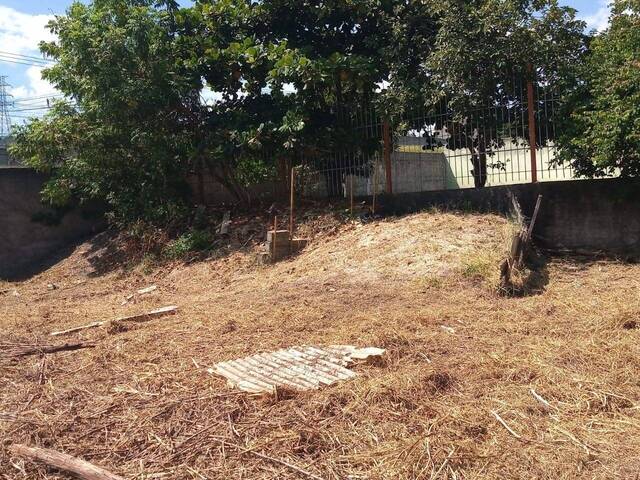 Área para Locação em Jacareí - 4
