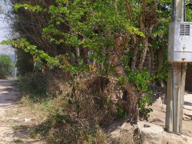 #5072 - Chácara para Venda em Santa Branca - SP