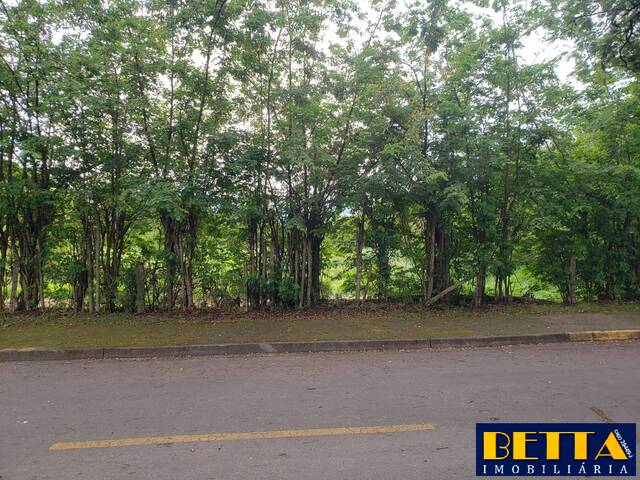 #5378 - Terreno para Venda em Jacareí - SP