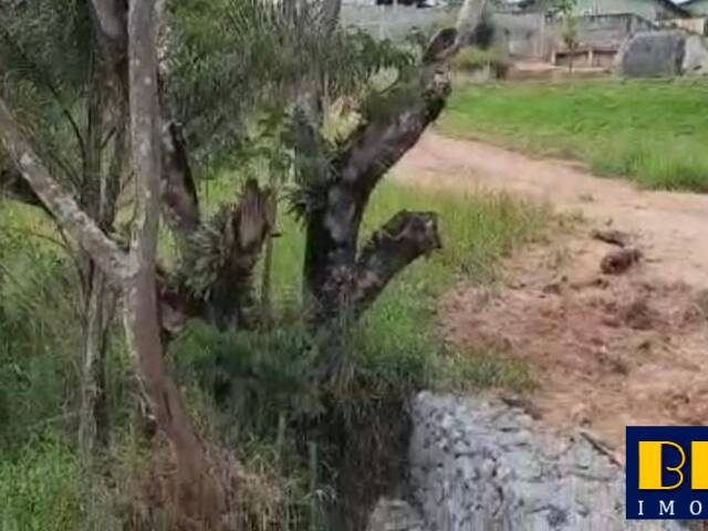Terreno em condomínio para Venda em Guararema - 5