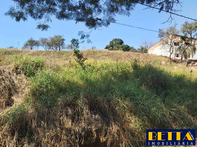 #5539 - Terreno para Venda em Jacareí - SP