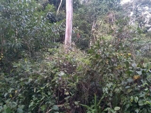 #5611 - Terreno para Venda em Santa Branca - SP