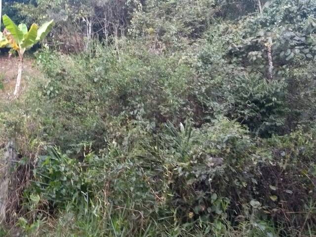 Terreno para Venda em Santa Branca - 4