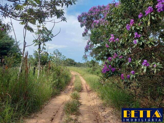 #5915 - Área para Venda em São José dos Campos - SP - 2