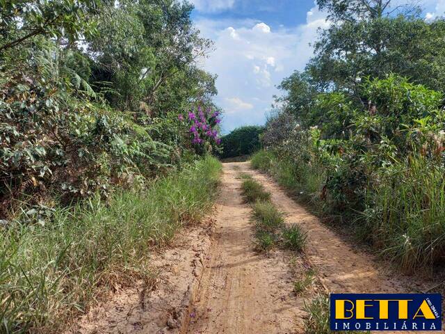 #5915 - Área para Venda em São José dos Campos - SP - 3