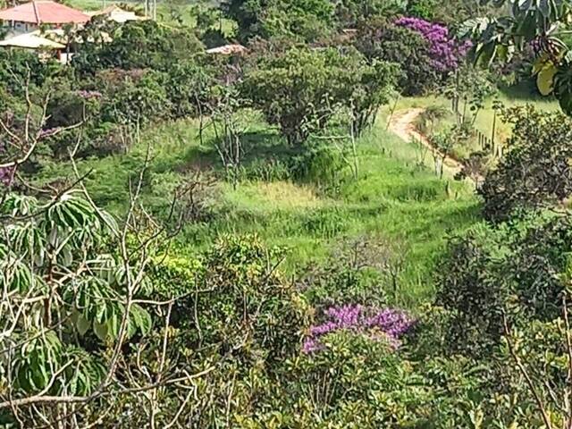 #5915 - Área para Venda em São José dos Campos - SP - 1