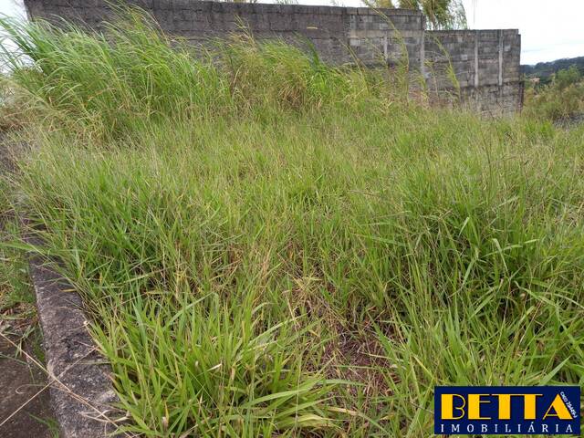 #5918 - Terreno para Venda em Jacareí - SP