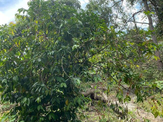 #5947 - Terreno para Venda em Jacareí - SP