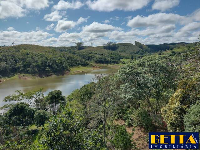 #5951 - Chácara para Venda em Santa Branca - SP - 3