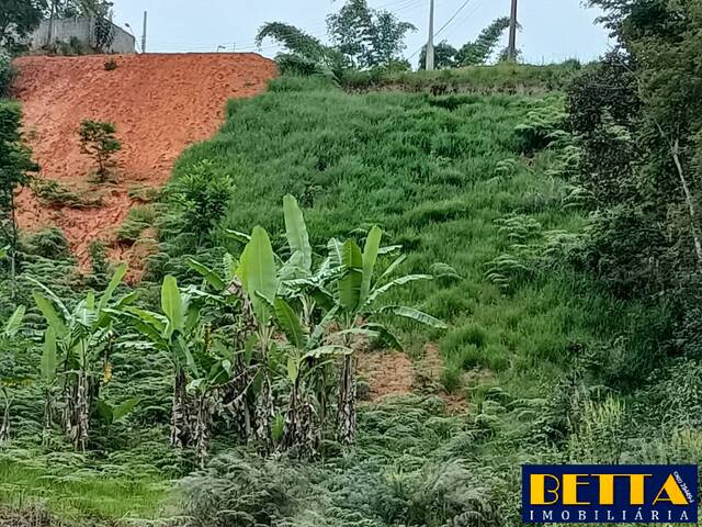 Terreno para Venda em Igaratá - 4