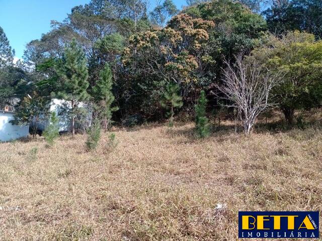 Área para Venda em Jacareí - 4