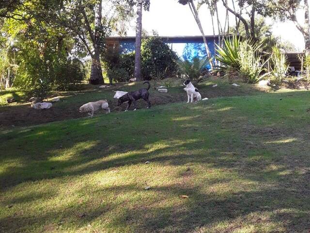 Chácara para Venda em Santa Branca - 4