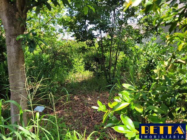 #6235 - Terreno para Venda em Jacareí - SP