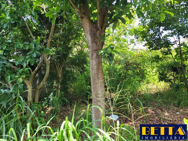 #6235 - Terreno para Venda em Jacareí - SP