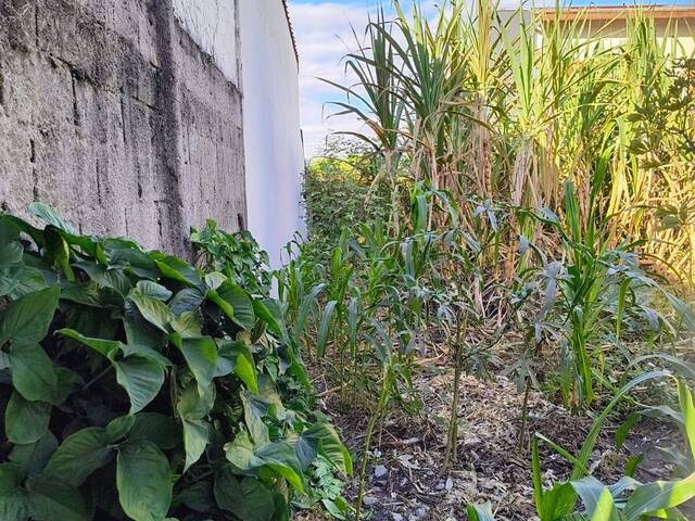 Terreno para Venda em Jacareí - 4