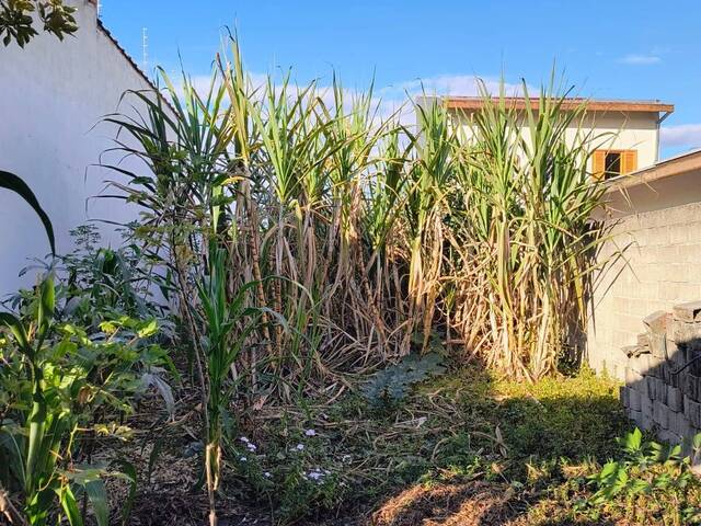 Terreno para Venda em Jacareí - 5