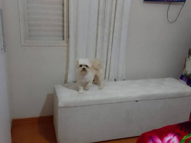 #6461 - Apartamento para Venda em Jacareí - SP