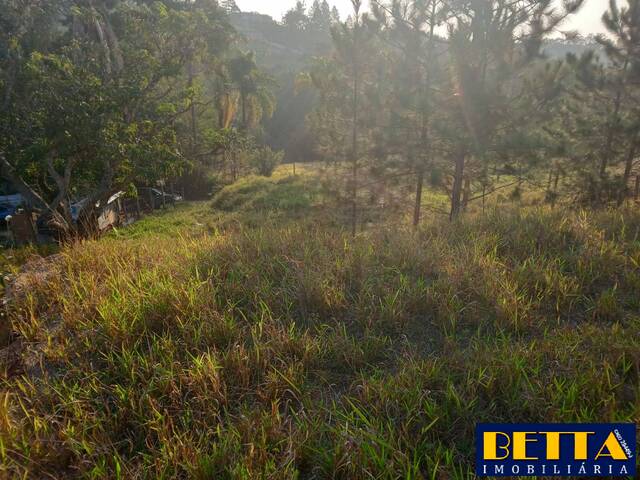 Terreno para Venda em Jacareí - 4