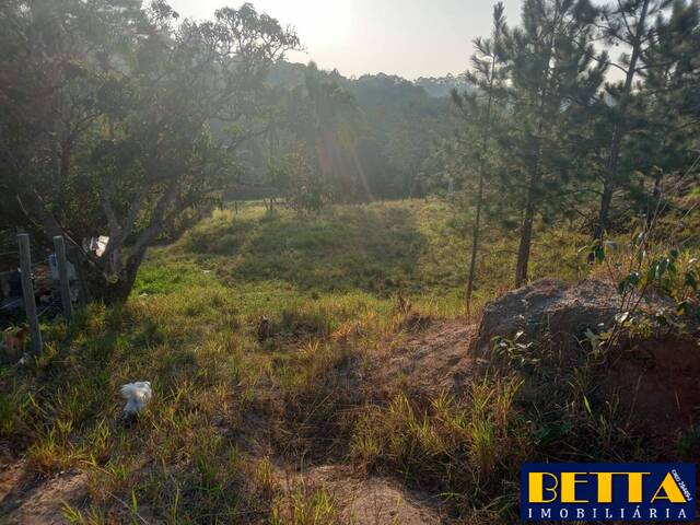 Terreno para Venda em Jacareí - 5