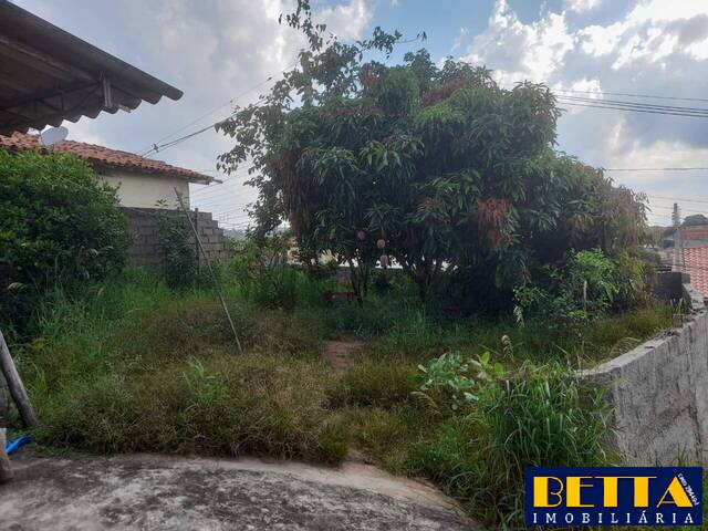Casa para Venda em Santa Branca - 5