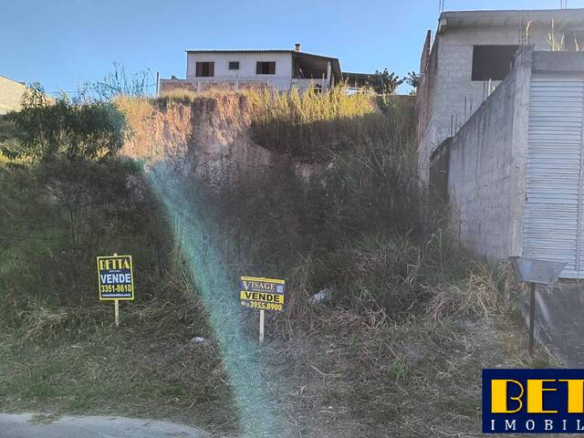 #6876 - Terreno para Venda em Jacareí - SP - 3