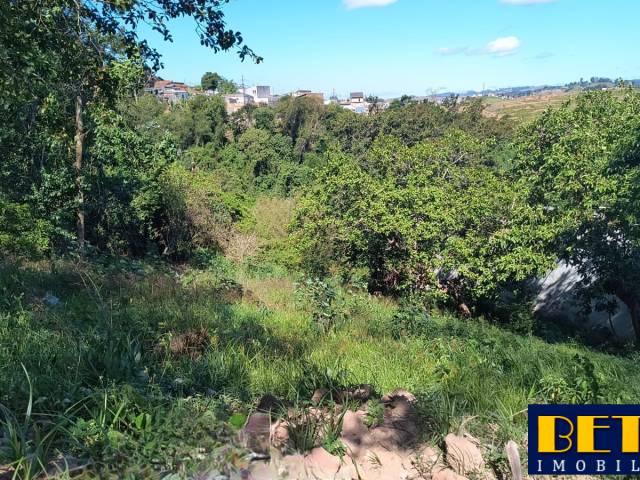 #6991 - Terreno para Venda em Jacareí - SP - 3