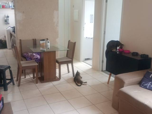 #6996 - Apartamento para Venda em Jacareí - SP - 3