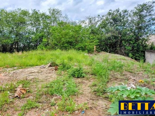 #7018 - Área para Venda em Jacareí - SP - 1