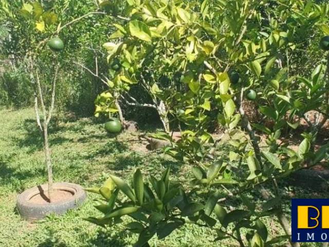 #7036 - Chácara para Venda em Jacareí - SP - 2