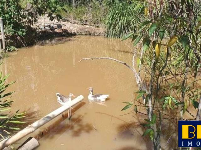 #7036 - Chácara para Venda em Jacareí - SP - 3