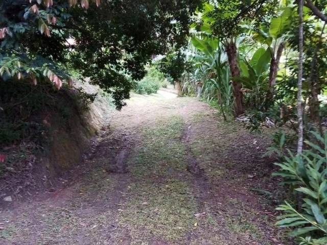 #7064 - Chácara para Venda em Jacareí - SP - 3