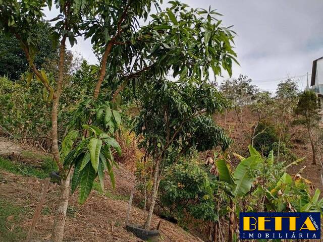 #7082 - Chácara para Venda em Jacareí - SP - 2