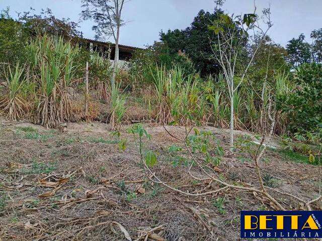 #7082 - Chácara para Venda em Jacareí - SP - 3