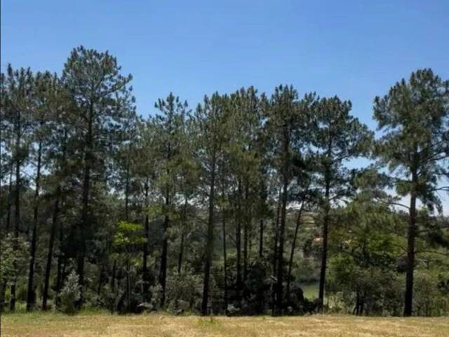 #7086 - Área para Venda em Jacareí - SP - 2