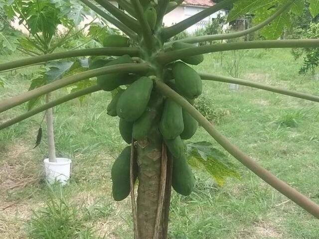 Terreno para Venda em Jacareí - 2