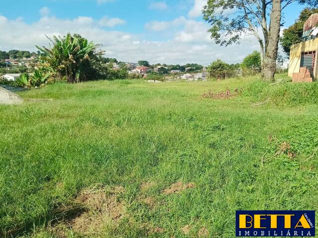 #7204 - Terreno para Venda em São José dos Campos - SP - 2