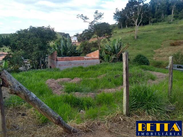 #7258 - Área para Venda em Paraibuna - SP - 3