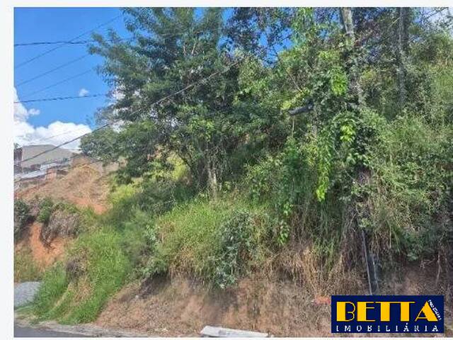 Terreno para Venda em Guararema - 5