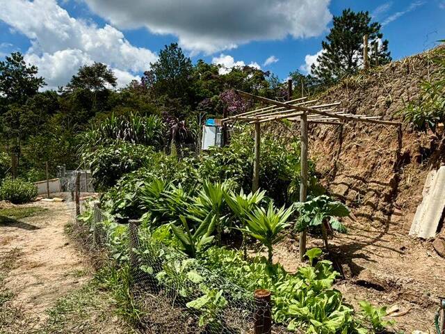 #7265 - Chácara para Venda em Paraibuna - SP - 2