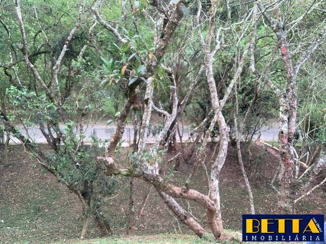 #7271 - Chácara para Venda em Guararema - SP - 3