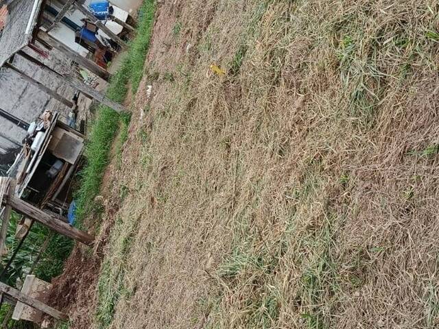 #7276 - Área para Venda em Santa Branca - SP - 2