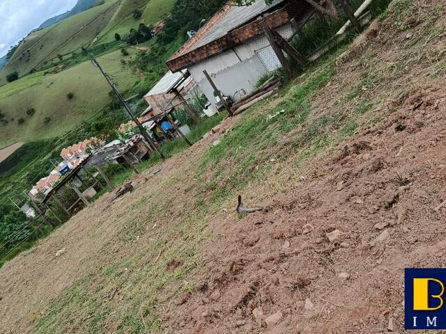 #7276 - Área para Venda em Santa Branca - SP - 3