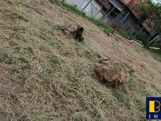Terreno para Venda em Santa Branca - 5
