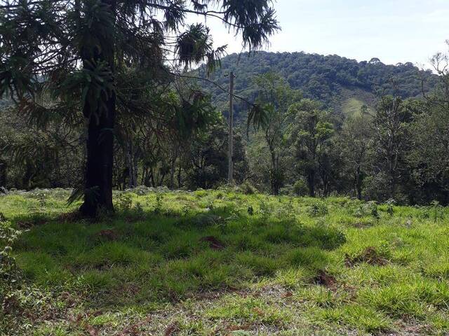 #7311 - Área para Venda em São José dos Campos - SP - 3