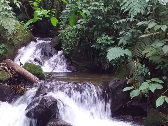 Terreno para Venda em São José dos Campos - 5