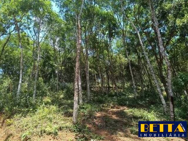 Terreno para Venda em São José dos Campos - 4