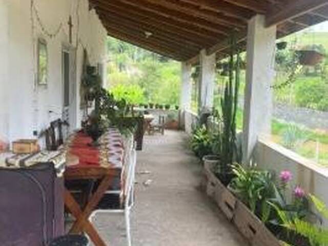 #7367 - Chácara para Venda em Santa Branca - SP - 2